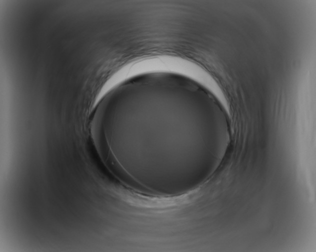 X0000088230031200705221834