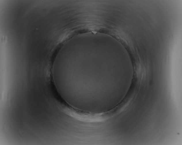 X0000088230032200705221834
