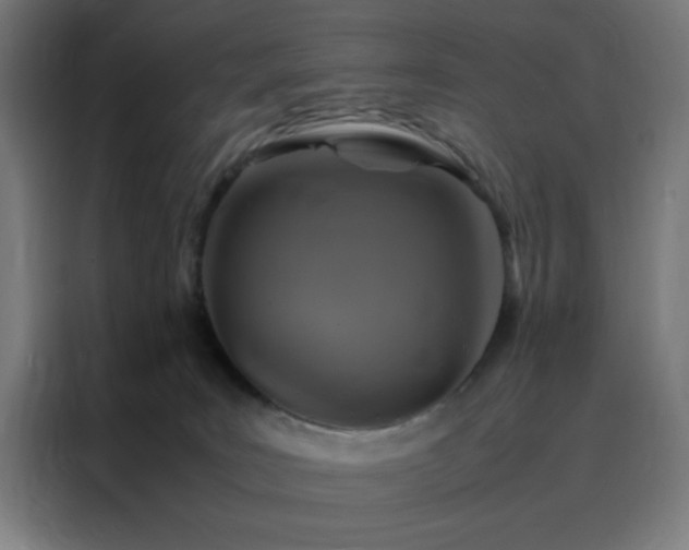 X0000088230035200705221834