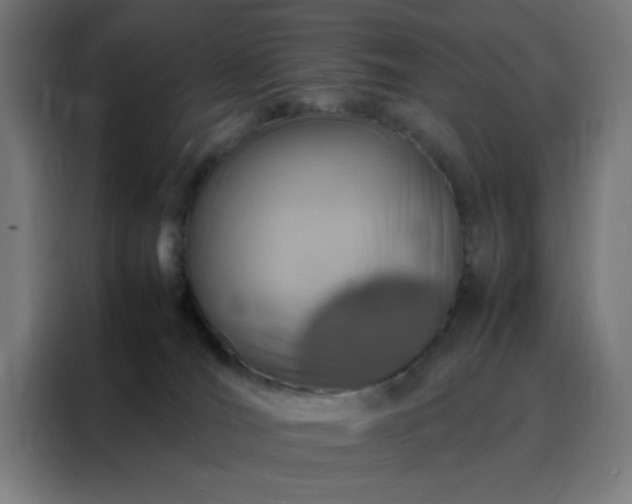 X0000088230036200705221834