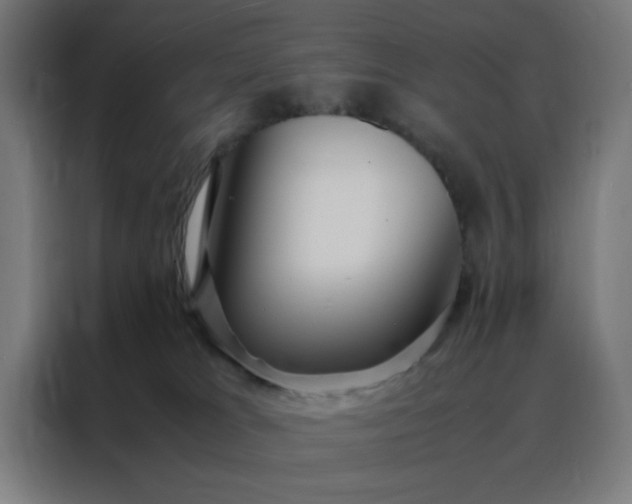 X0000088230037200705221834