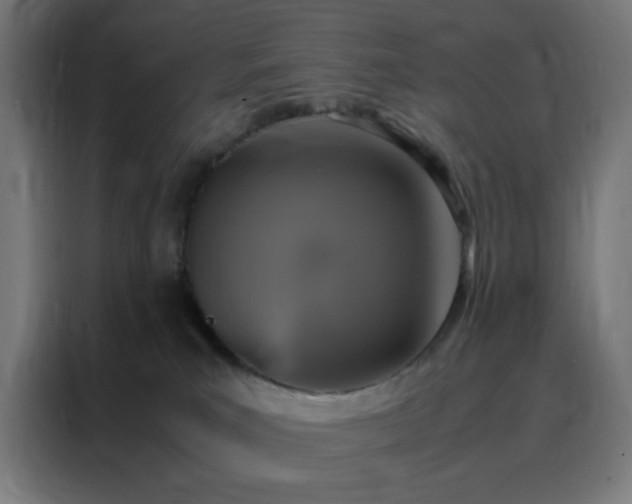 X0000088230039200705221834