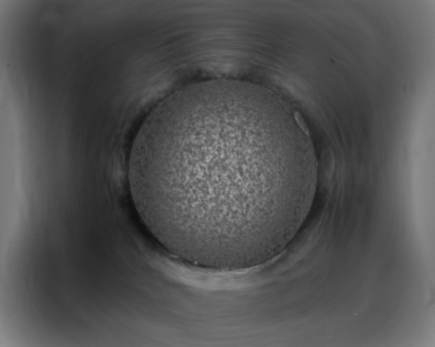 X0000088230040200705221834