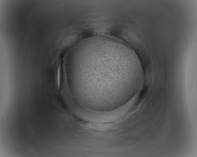 X0000088230041200705221834