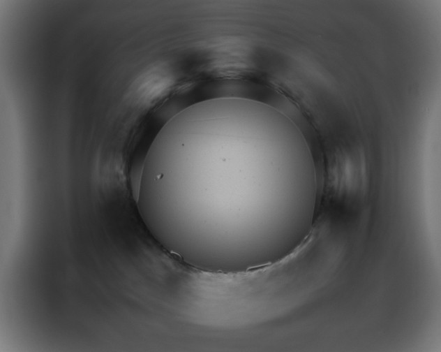 X0000088230045200705221834