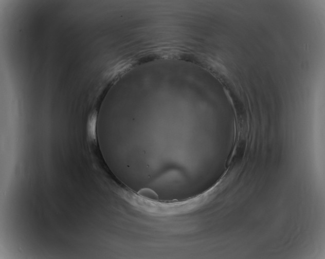 X0000088230047200705221833