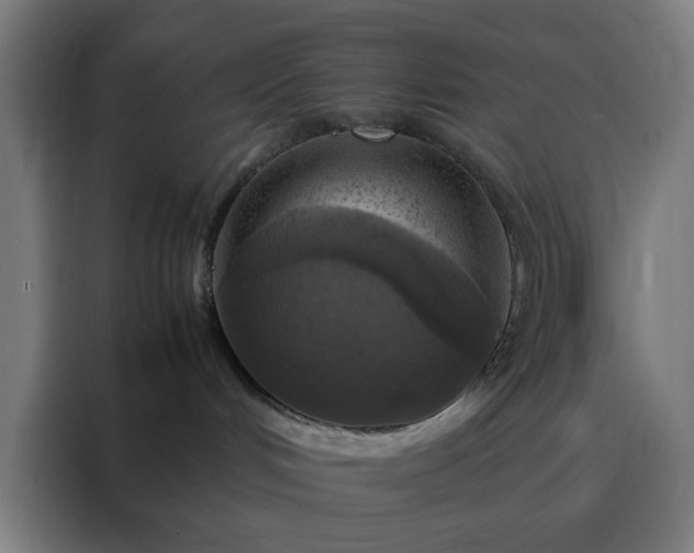 X0000088230048200705221833