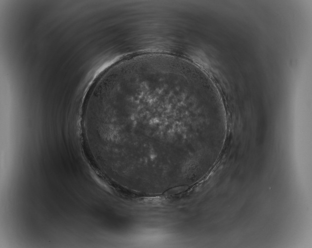 X0000088230050200705221833