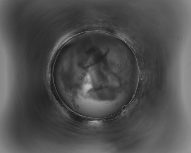 X0000088230053200705221833