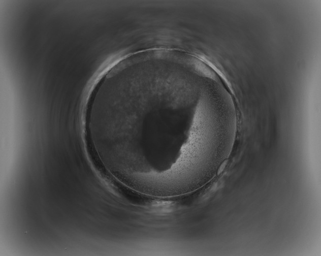 X0000088230055200705221833