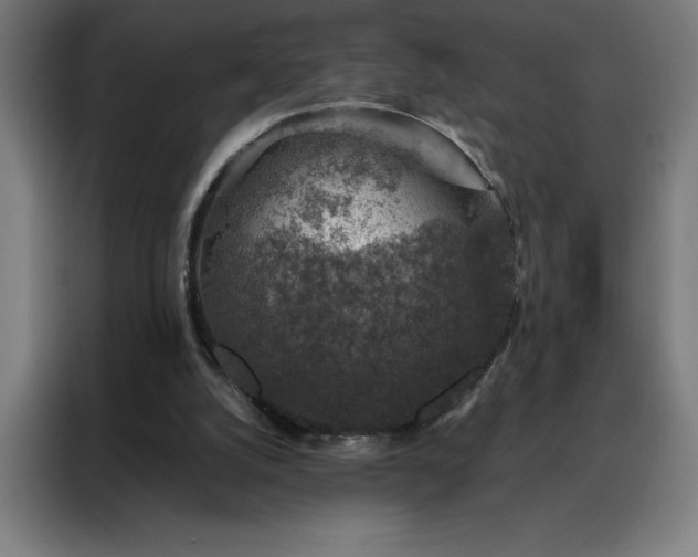 X0000088230056200705221833