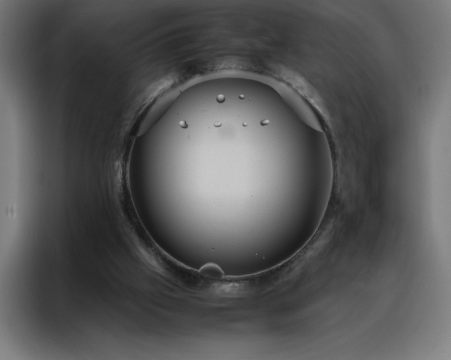 X0000088230057200705221833