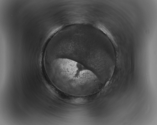 X0000088230058200705221833