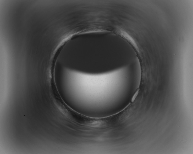 X0000088230059200705221833