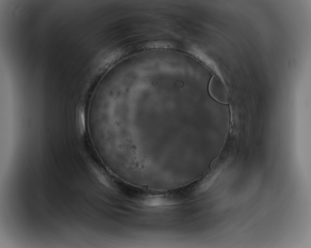 X0000088230061200705221833