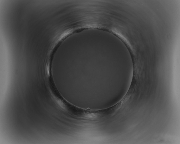 X0000088230062200705221833