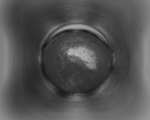 X0000088230064200705221833
