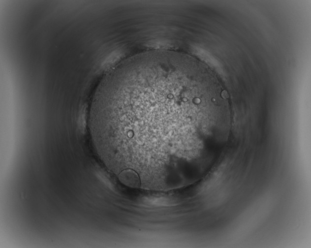 X0000088230065200705221833