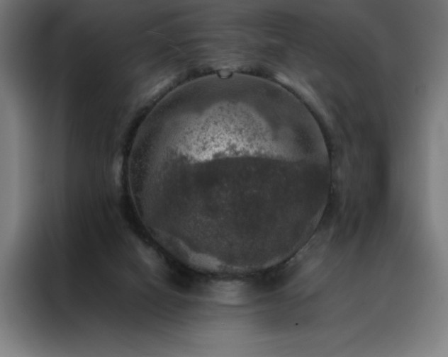 X0000088230066200705221833