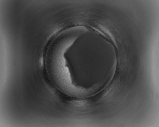 X0000088230067200705221833