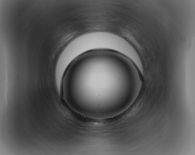 X0000088230068200705221833