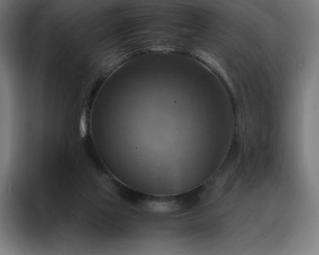 X0000088230069200705221833