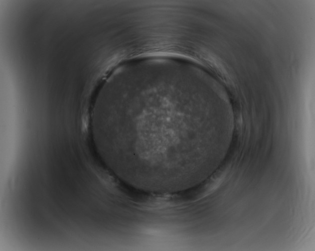 X0000088230072200705221833