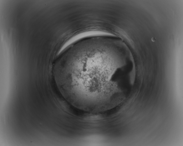 X0000088230073200705221833