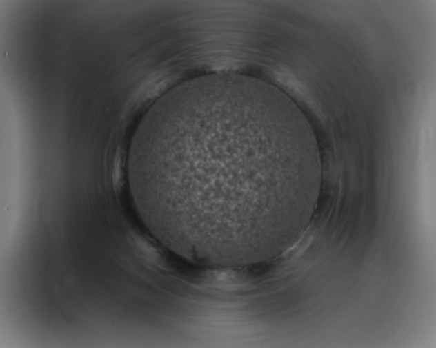 X0000088230074200705221833