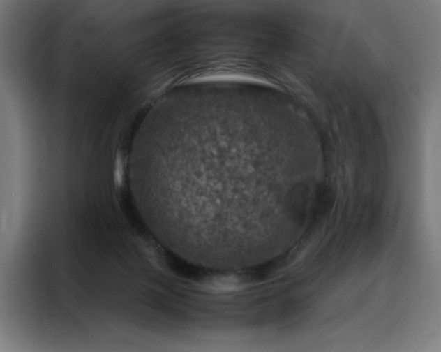 X0000088230075200705221833