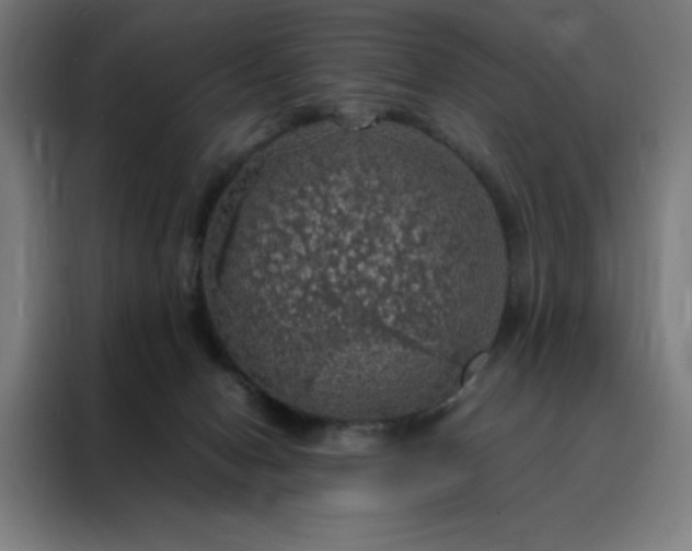 X0000088230078200705221833