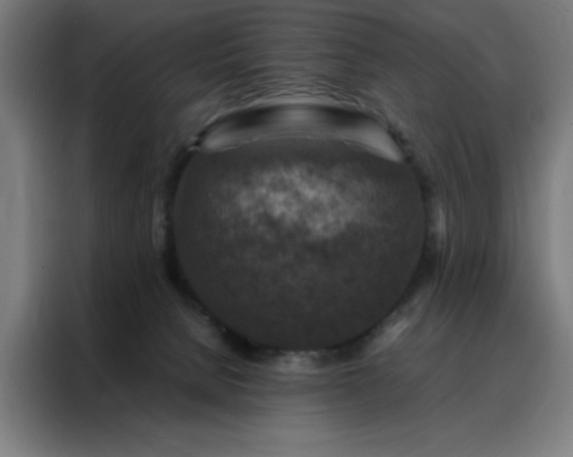 X0000088230080200705221833