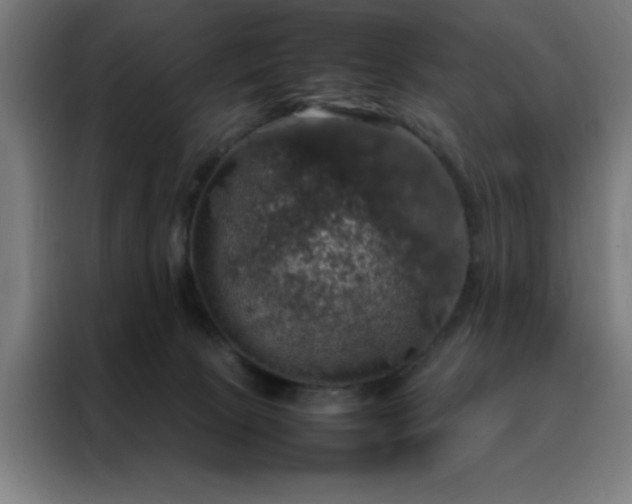 X0000088230081200705221833