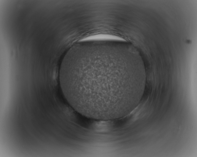 X0000088230082200705221833
