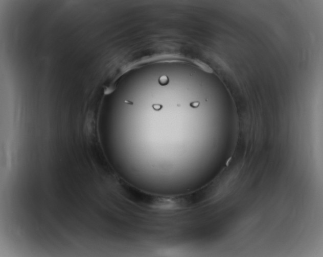 X0000088230083200705221833