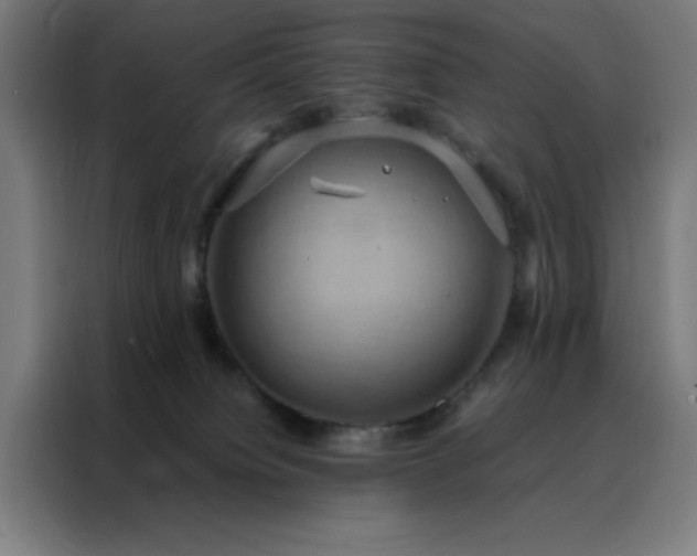 X0000088230084200705221833