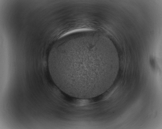 X0000088230085200705221833
