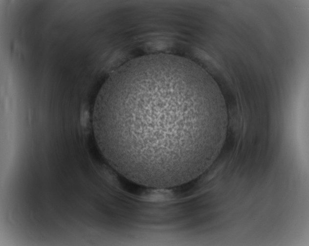 X0000088230087200705221833