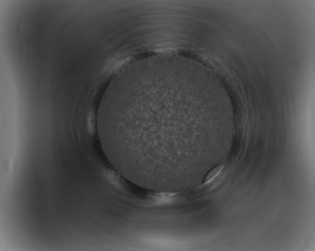 X0000088230090200705221833