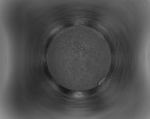 X0000088230091200705221833