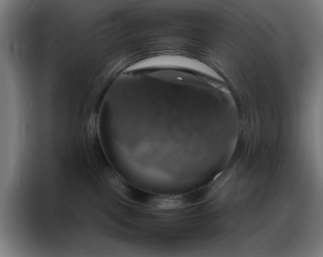 X0000088230093200705221833