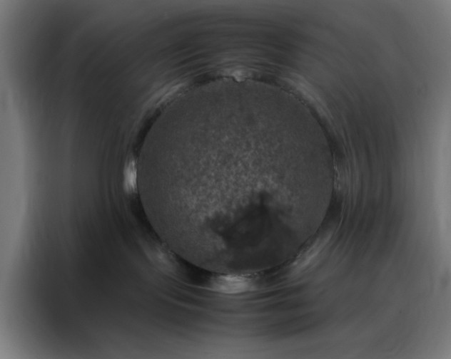 X0000088230095200705221833