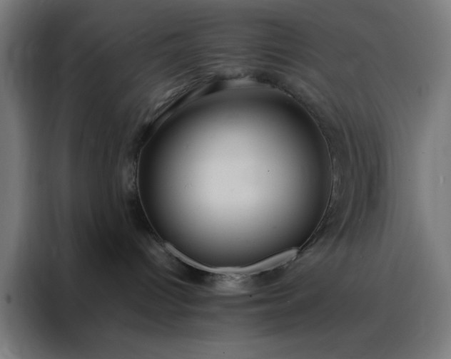 X0000088230096200705221833