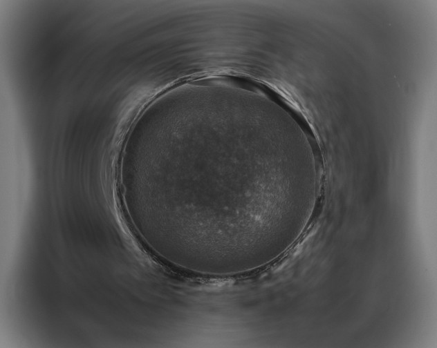 X0000088230097200705221833