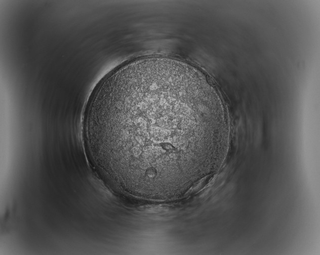 X0000088230100200705221833