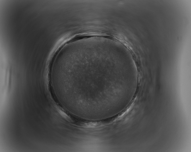 X0000088230101200705221833