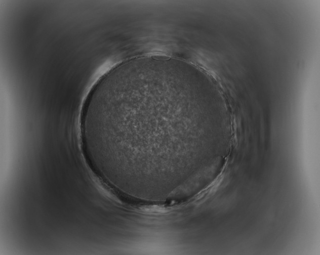 X0000088230102200705221833