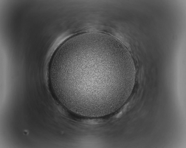 X0000088230103200705221833