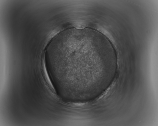 X0000088230105200705221833