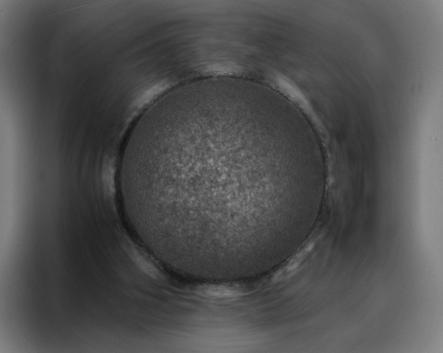 X0000088230106200705221833